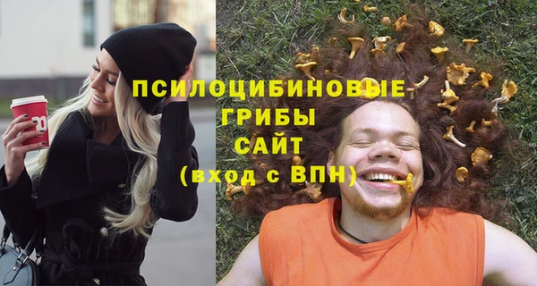 дмт Абаза