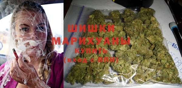 крисы Абдулино