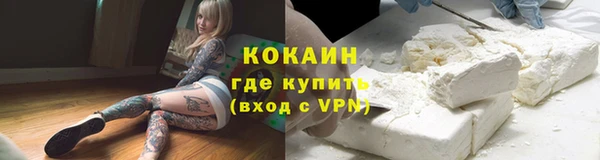 дмт Абаза