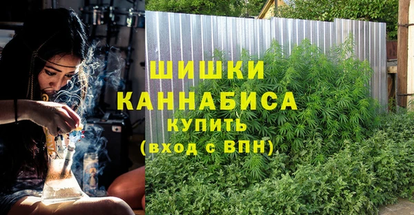 крисы Абдулино