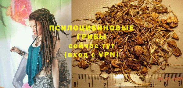 крисы Абдулино