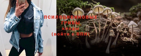 дмт Абаза
